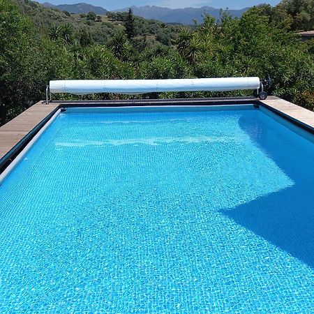 L'Amandier -Le Figuier-Les Lauriers Roses Ajaccio  Dış mekan fotoğraf