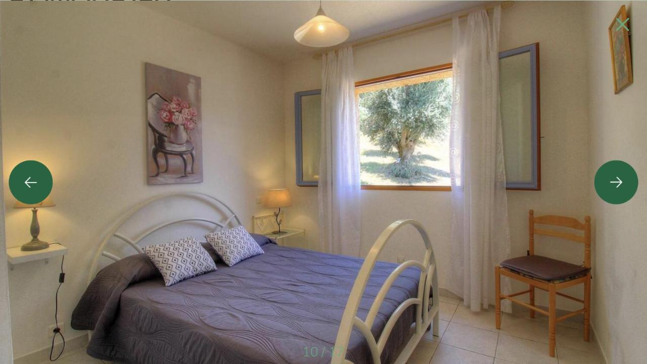 L'Amandier -Le Figuier-Les Lauriers Roses Ajaccio  Dış mekan fotoğraf