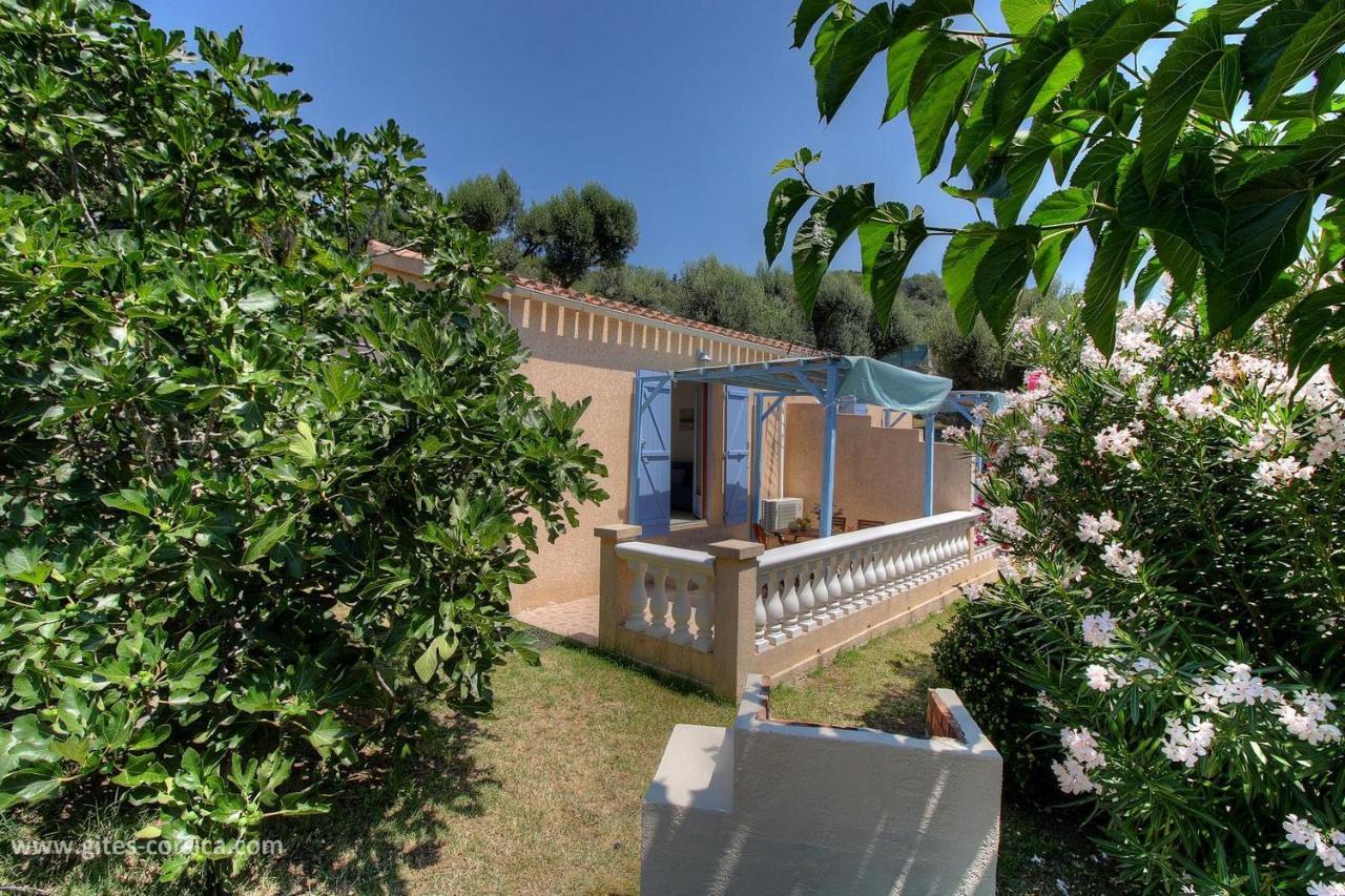 L'Amandier -Le Figuier-Les Lauriers Roses Ajaccio  Dış mekan fotoğraf