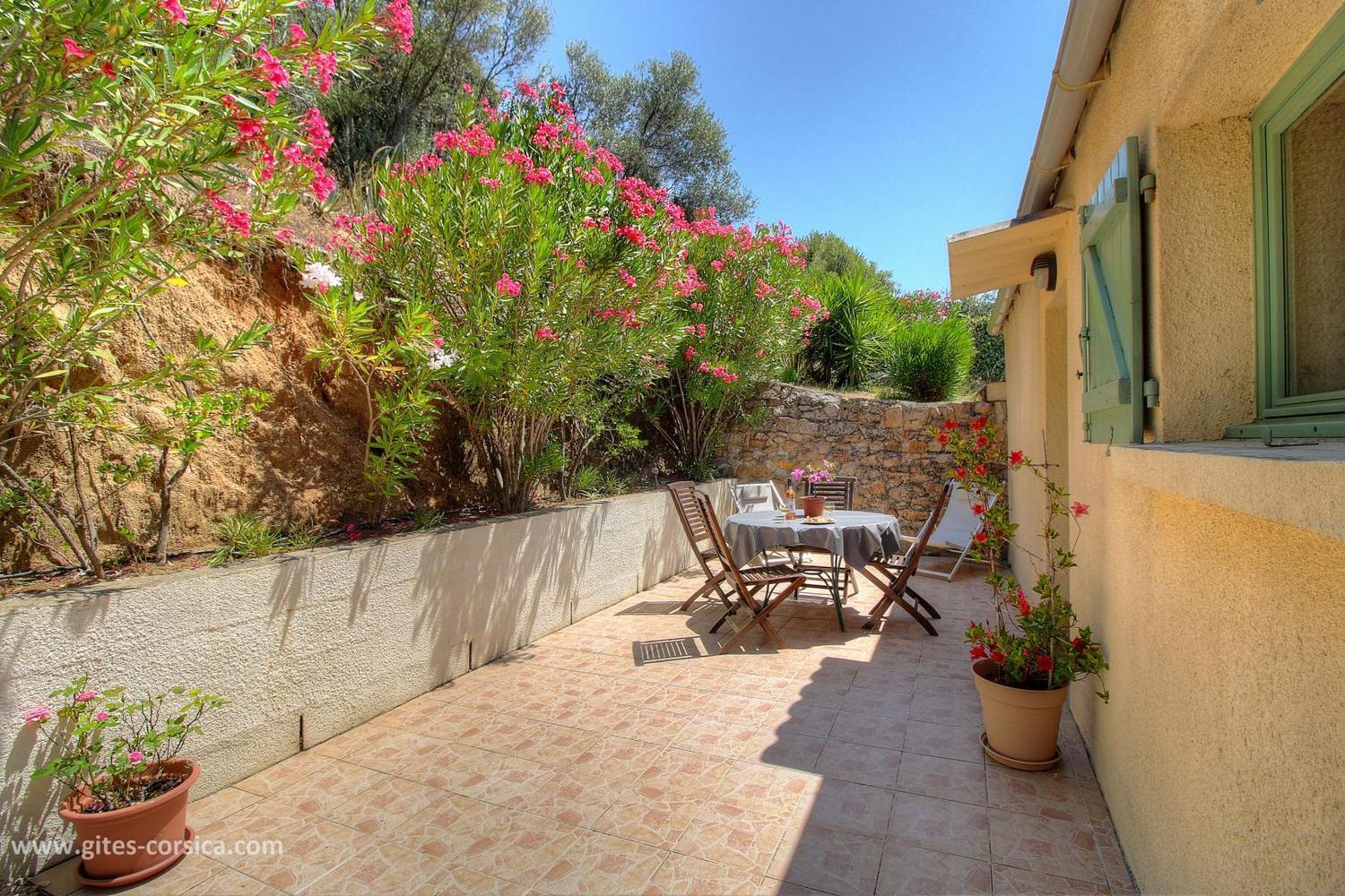 L'Amandier -Le Figuier-Les Lauriers Roses Ajaccio  Dış mekan fotoğraf