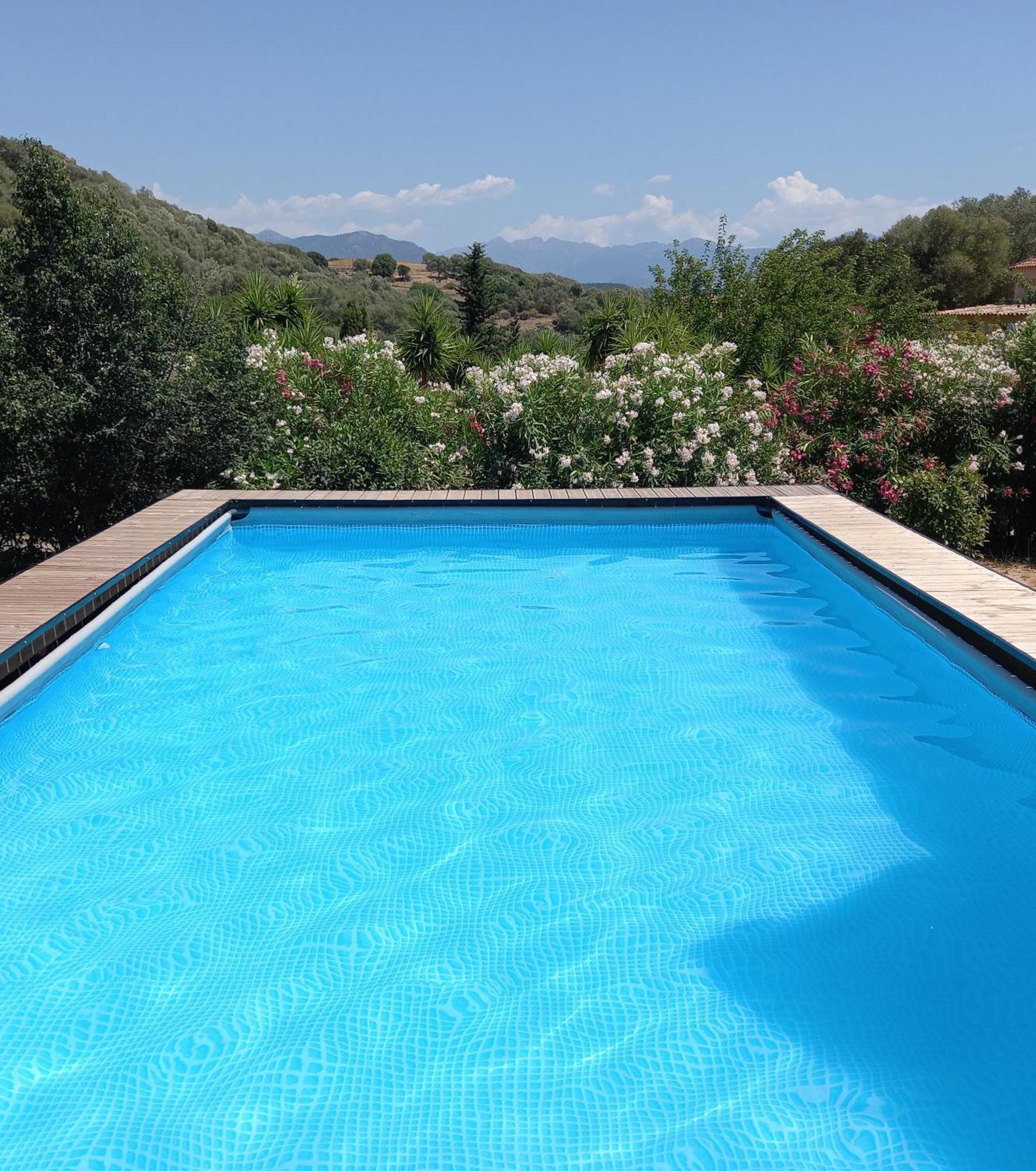 L'Amandier -Le Figuier-Les Lauriers Roses Ajaccio  Dış mekan fotoğraf