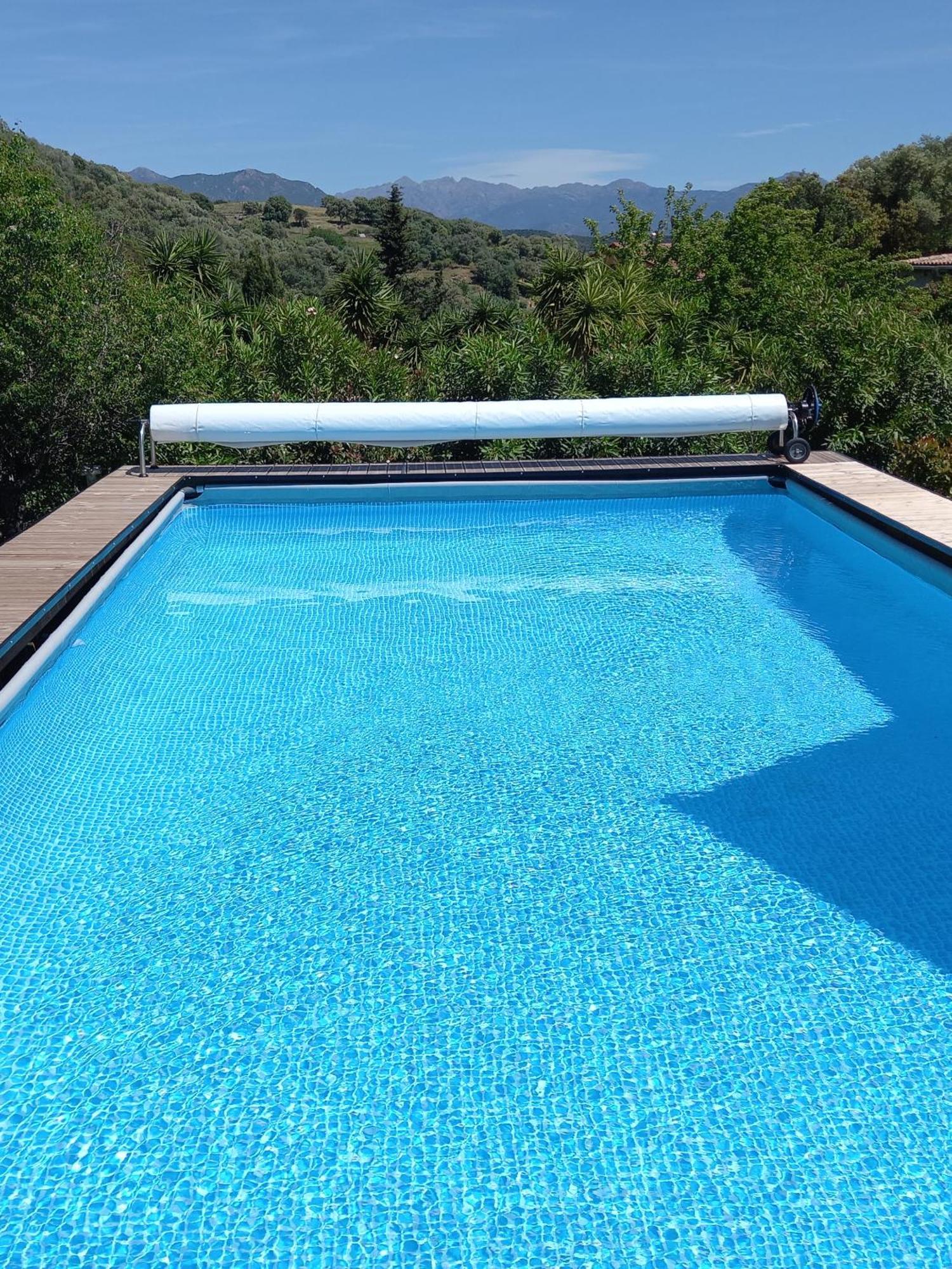 L'Amandier -Le Figuier-Les Lauriers Roses Ajaccio  Dış mekan fotoğraf